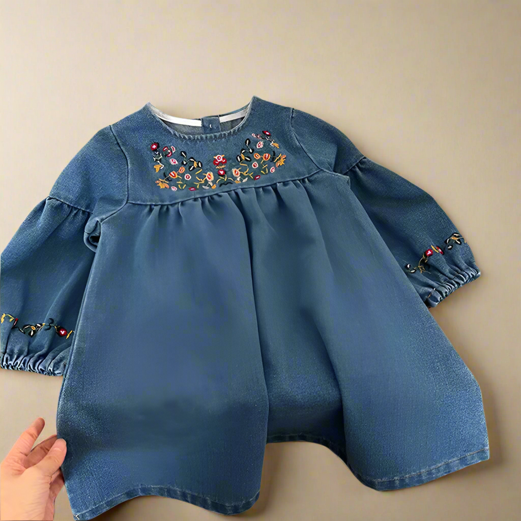 Embroidered Denim Dress