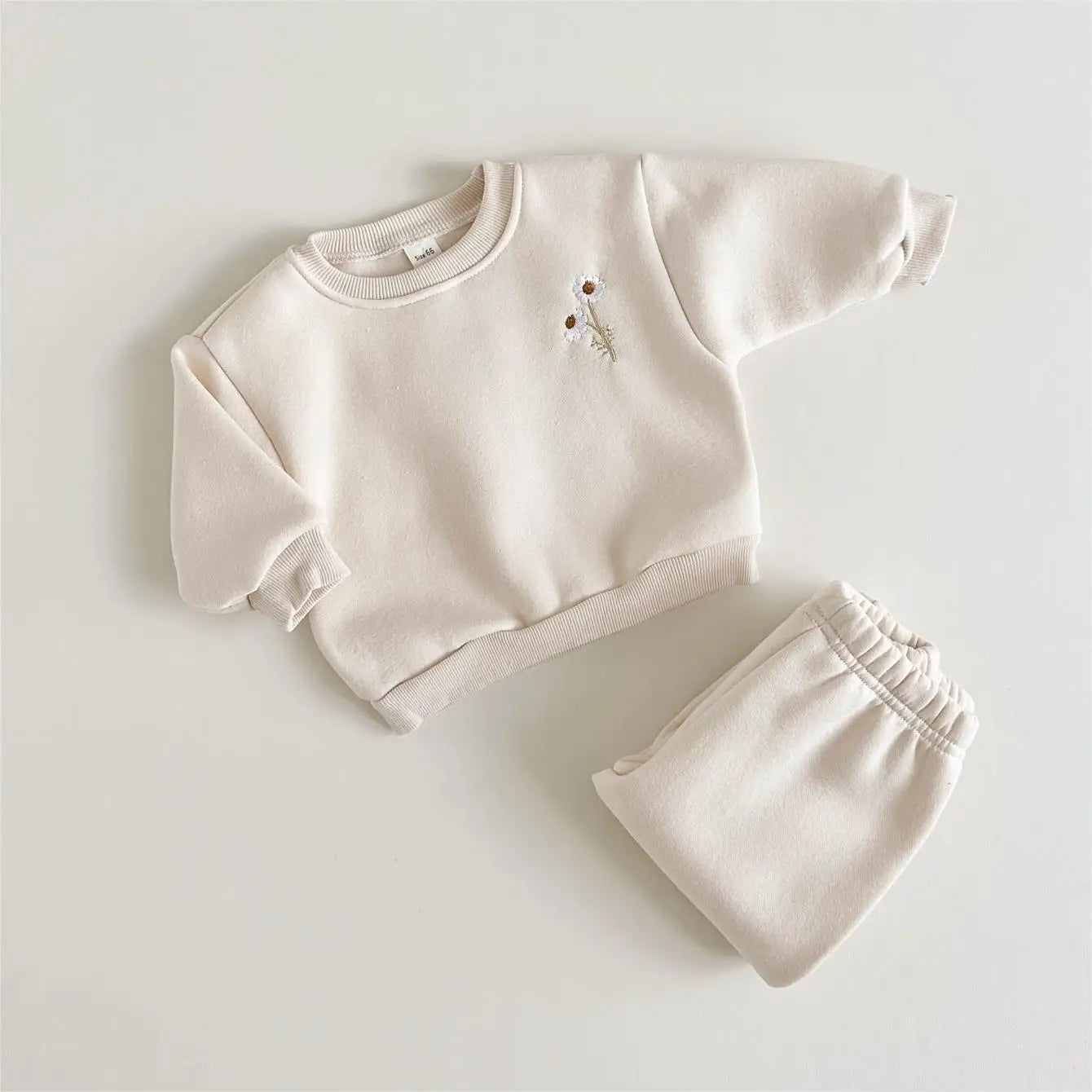Warm Plush Sweatshirt and Sweatpants Set